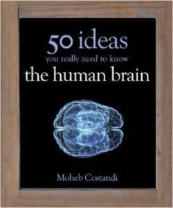 50 Human Brain Ideas You Need to Know