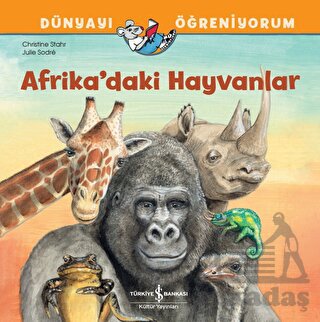 Afrika'daki Hayvanlar Dünyayı Öğreniyorum - Thumbnail