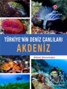Akdeniz - Türkiye'nin Deniz Canlıları