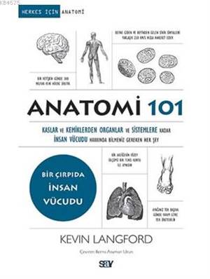 Anatomi 101; Kaslar Ve Kemiklerden Organlar Ve Sistemlere Kadar İnsan Vücudu Hakkında Bilmeniz Gereken Her Şey