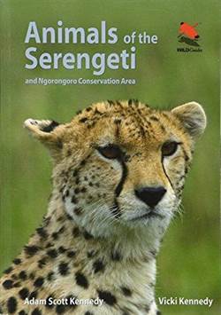 Animals Of Serengeti And Ngorongoro Conservation Area