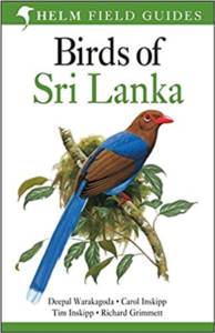 Birds Of Sri Lanka