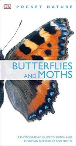 Butterflies And Moths (Pocket Nature)