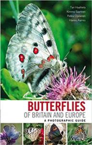 Butterflies Of Europe