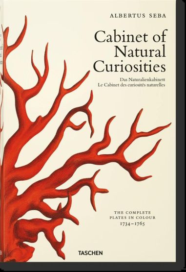 Cabinet of Natural Curiosities - Thumbnail