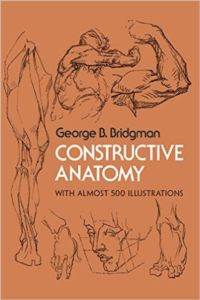 Constructive Anatomy