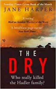 Dry (Aaron Falk 1)