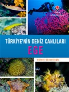 Ege - Türkiye'nin Deniz Canlıları