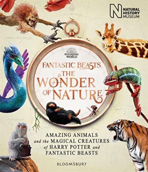 Fantastic Beasts The Wonder Of Nature
