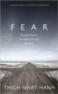 Fear: Essential Wisdom for Getting Through the Storm