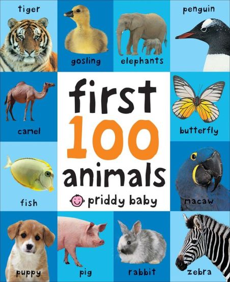 First 100 Animals Board Book - Thumbnail