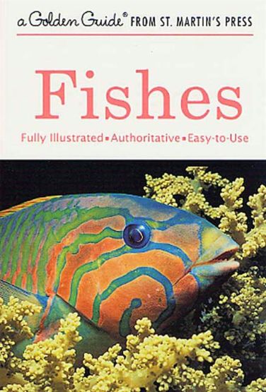 Fishes A Guide to Fresh- And Salt-Water Species - Golden Guide from St. Martin's Press - Thumbnail