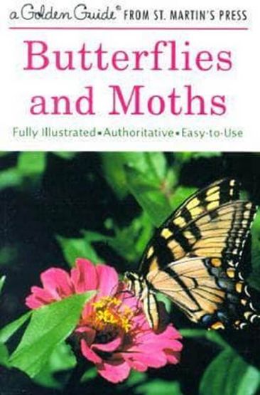 Golden Guide Butterflies And Moths