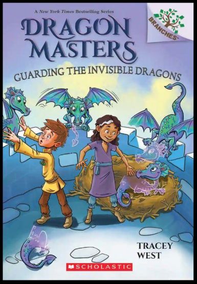 Guarding the Invisible Dragons - Dragon Masters