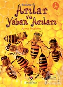 İlk Okuma - Arılar Ve Yaban Arıları