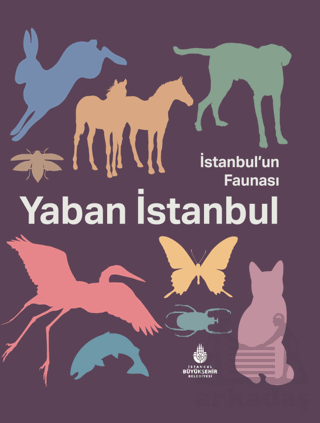 İstanbul'un Faunası Yaban İstanbul