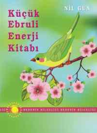 Küçük Ebruli Enerji Kitabı