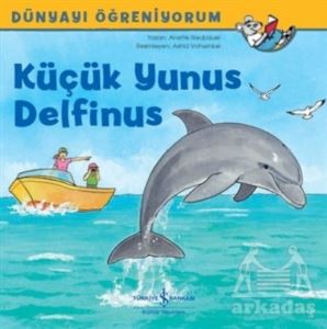 Küçük Yunus Delfinus