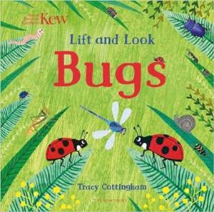Lift And Look: Bugs