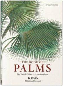 Martius: The Book of Palms