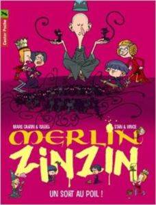 Merlin Zinzin 7: Un sort au poil