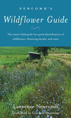 Newcomb's Wild Flower Guide