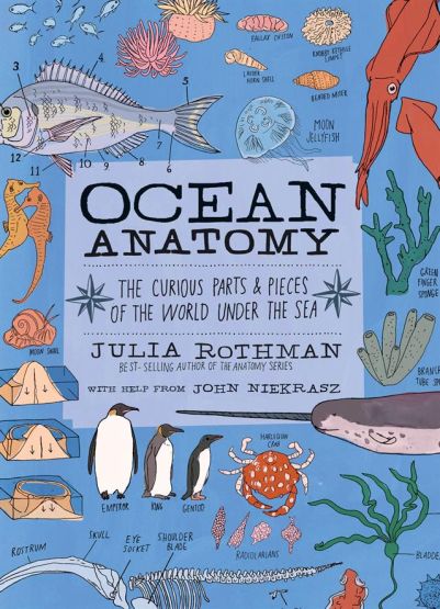 Ocean Anatomy The Curious Parts & Pieces of the World Under the Sea - Anatomy - Thumbnail