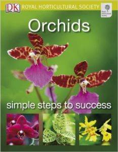 Orchids (RHS Simple Steps To Success)