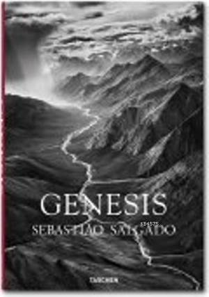 Salgado, Genesis