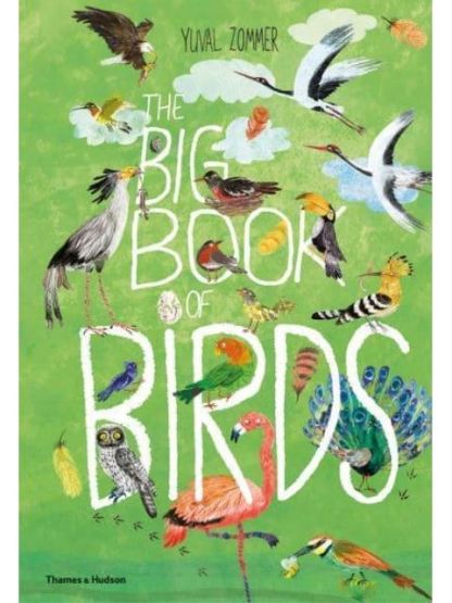 The Big Book of Birds - The Big Book Series