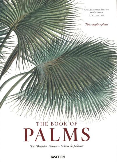 The Book of Palms Das Buch Der Palmen
