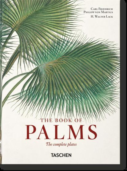 The Book of Palms - Thumbnail