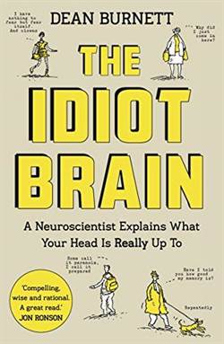 The Idiot Brain: A Neuroscientist Explains What Your Head İs Really Up To
