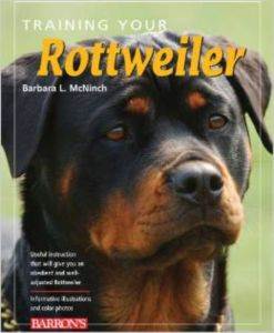 Training Your Rotweiler