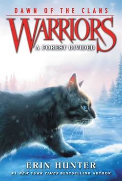 Warriors: Dawn of the Clans 5: A Forest Divided
